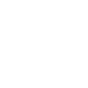 Animal Park on YouTube